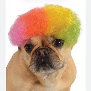 Afro Wig Clown Circus Curly Pet Costume Accessory